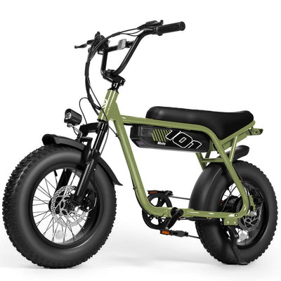 V101 1500W Peak Electric Bike
