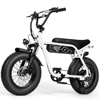 V101 1500W Peak Electric Bike