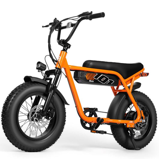 V101 1500W Peak Electric Bike