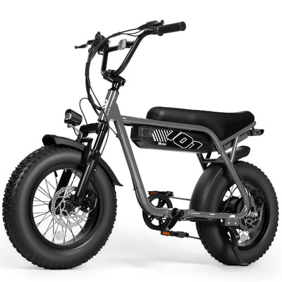 V101 1500W Peak Electric Bike