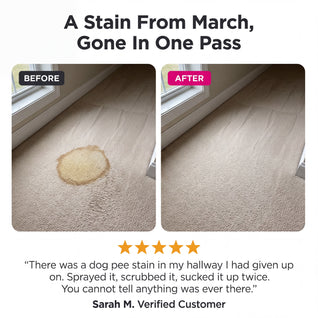 Portable Stain Cleaner