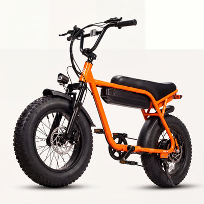 V101 1500W Peak Electric Bike
